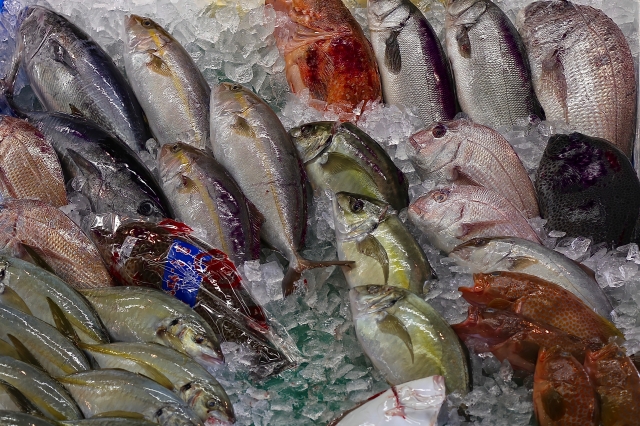【生き物の雑学】魚介類と魚貝類、海産物と水産物の違い | GakuSha