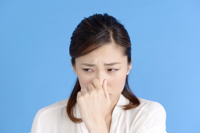 人体の雑学 鼻をつまむと味を感じないのはなぜ Gakusha